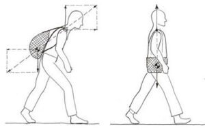 Force vectors BackTpack vs conventional backpack